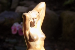Desnudo peinándose (frente)